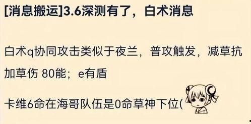 原神白术最新爆料视频,神秘术士觉醒,神秘力量即将揭晓