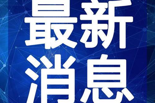 武邑爆料最新消息新闻视频,视频揭露惊人真相,详情敬请关注!